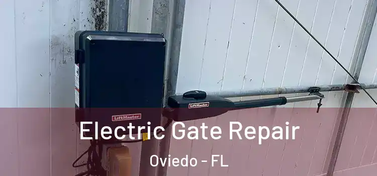Electric Gate Repair Oviedo - FL
