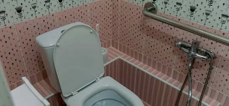 Meeting Diverse Needs With Accessible Restroom Solutions in Oviedo, FL