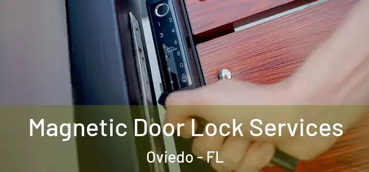 Magnetic Door Lock Services Oviedo - FL